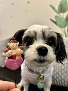 チップ　母の日2